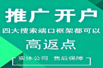 某品牌SEM广告投放的全程记录与效果分析